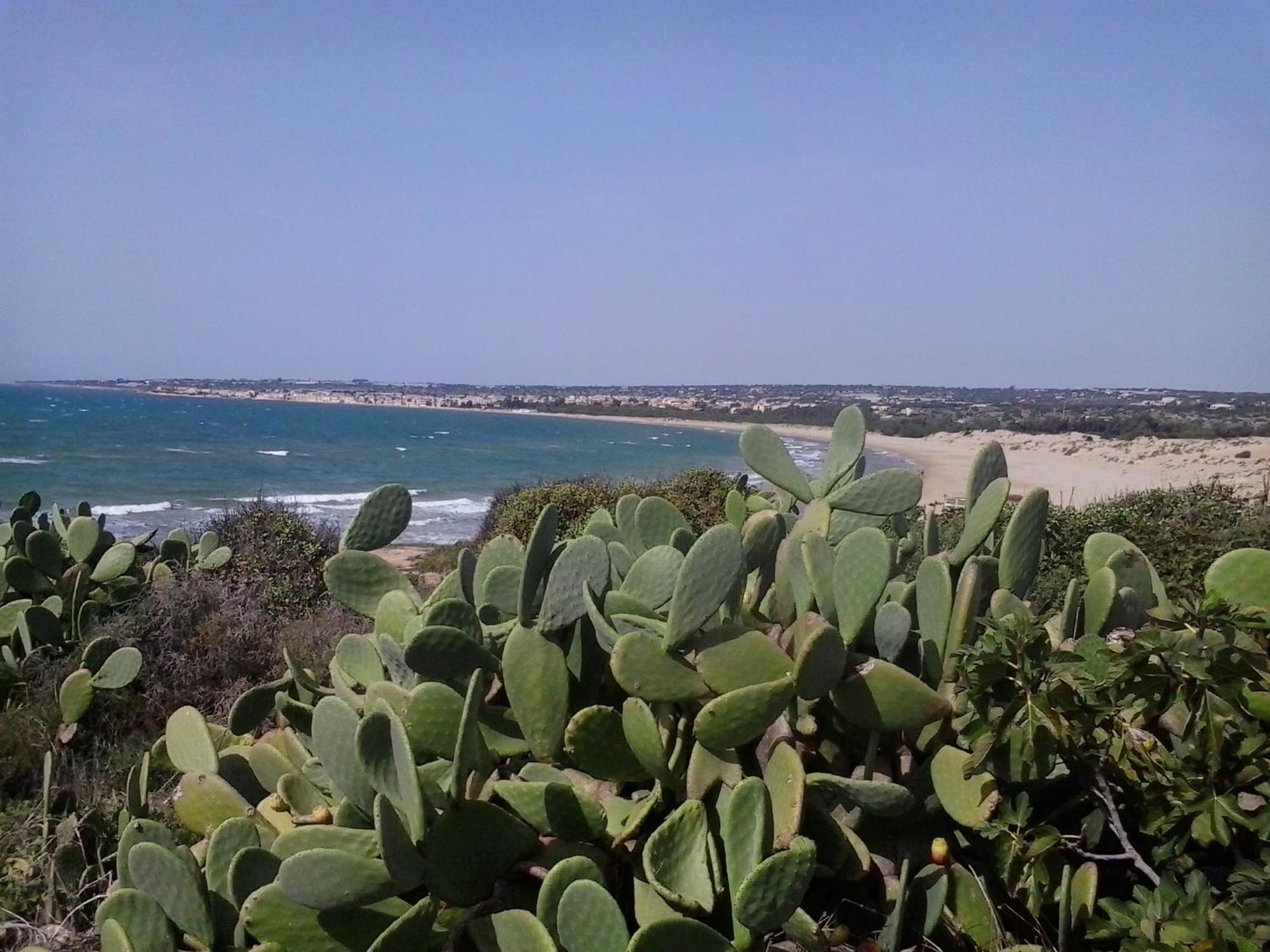 Le Terrazze Sul Mare Villa Cava d'Aliga Exterior photo